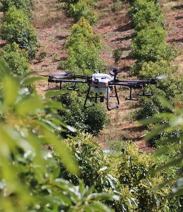 agricultura control de plagas